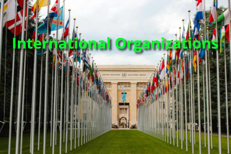 International Organizations: Impact, Challenges, and Trends