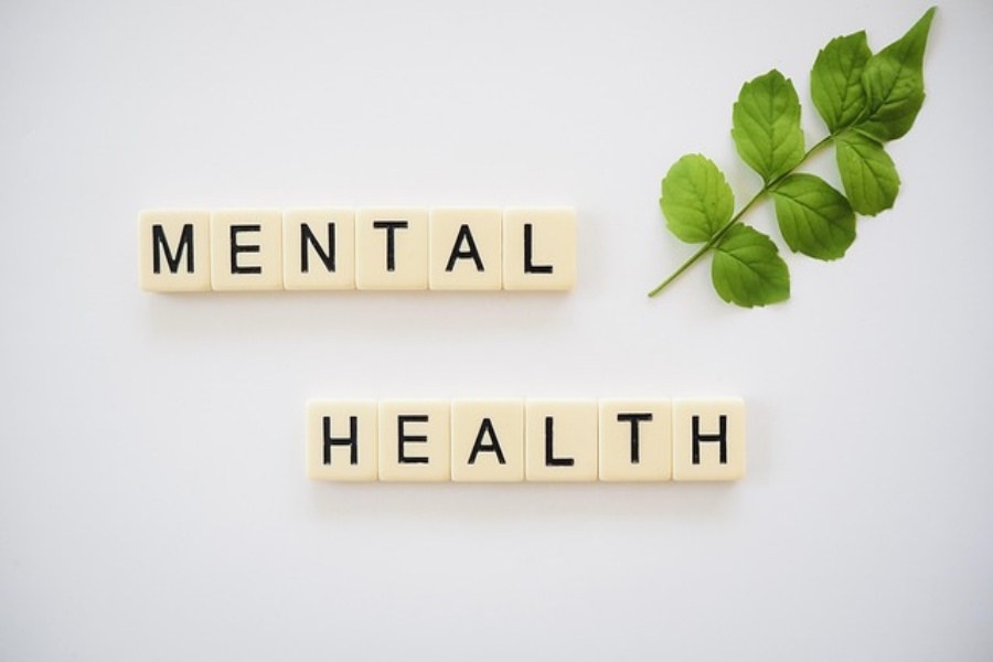 Mental Health Organizations