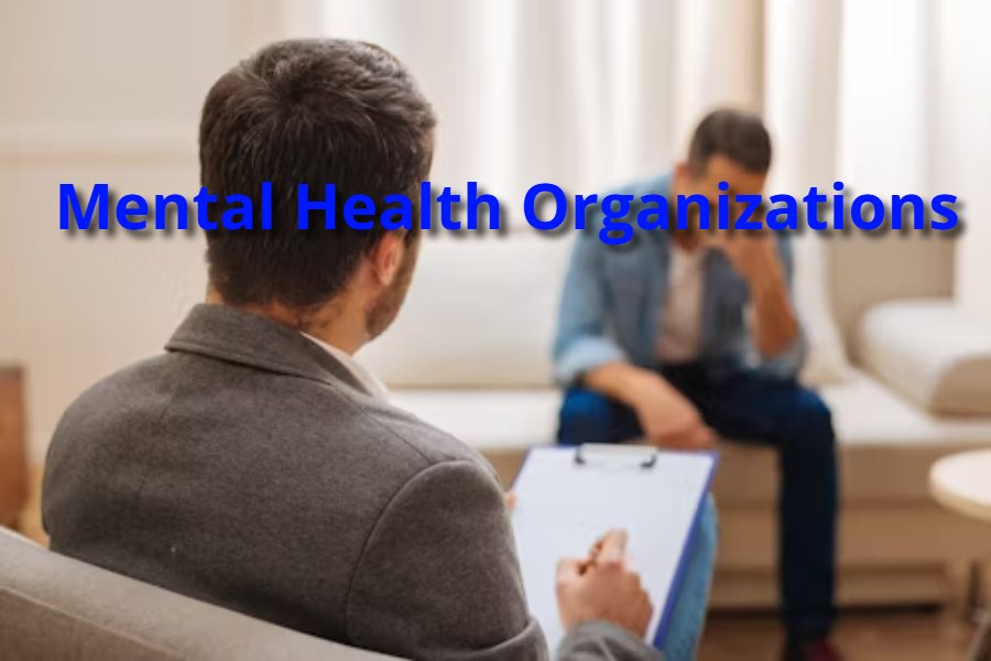 Mental Health Organizations: Impact, Challenges, and Future